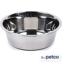 EveryYay Dining In Non-Skid Brushed Stainless Steel Dog Bowl