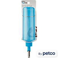 Guinea Pig Water Bottles Feeders Food Bowls Petco