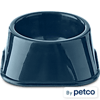 EveryYay Dining In Small Animal Assorted Feeding Dish