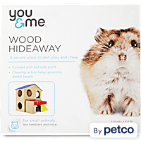 Guinea pig ball top petco