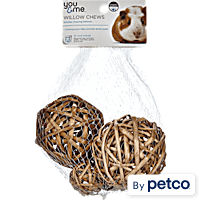 Guinea pig deals toys petco