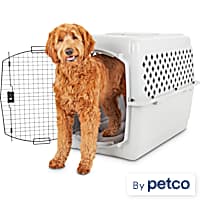 Petco boarding near me cheap