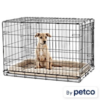 Pet Essentials Wire Dog Crate Large 3.5-ft L x 3.36-ft W x 2.5-ft H in the  Crates & Kennels department at