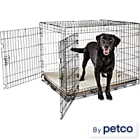 Pet Essentials Wire Dog Crate Large 3.5-ft L x 3.36-ft W x 2.5-ft H in the  Crates & Kennels department at