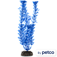 Imagitarium Blue Ambulia Midground Aquarium Plant
