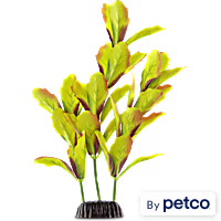 Imagitarium Small Watercolors Plant