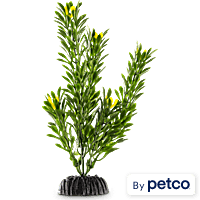 Imagitarium Green Foreground Aquarium Plant