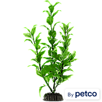 Imagitarium Green Ambulia Midground Plastic Aquarium Plant