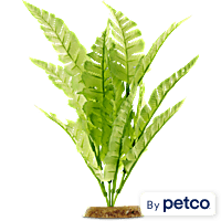 Imagitarium Bright Green Silk Plant