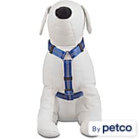 Petco kong harness cheap