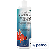 Fish Health Wellness Fungus Ich Treatment Petco