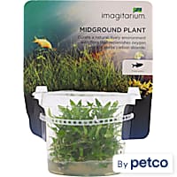 Petco hotsell freshwater plants