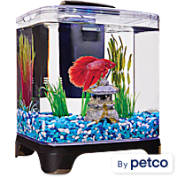 Betta Fish Tanks Aquariums Bowls Petco