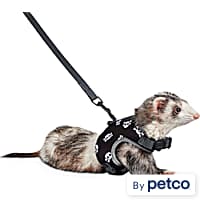 Ferret leash outlet