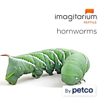 Petco mealworms hotsell in store