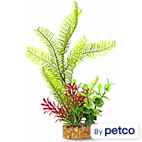 Imagitarium Yellow Frond Aquarium Plant with Green and Red Accents