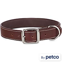 Petco rolled shop leather collar