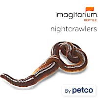 Petco mealworms in store top
