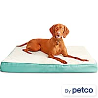 Harmony Green Orthopedic Lounger Dog Bed