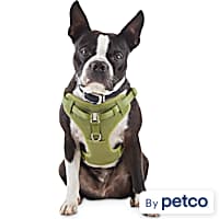 Sensation outlet harness petco