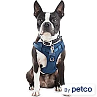 Dog Harnesses Petco