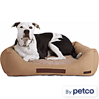 Reddy Canvas Cozy & Cool-Touch Dog Bed
