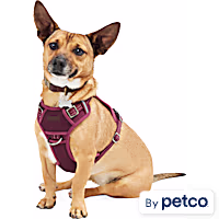 Reddy Canvas Dog Harness