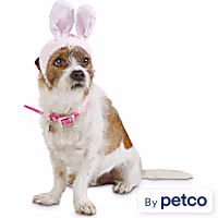 Bond & Co. Pink Bunny Bonnet Pet Cap