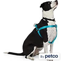 Dog Harnesses Petco