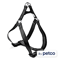 Petco kong hot sale harness
