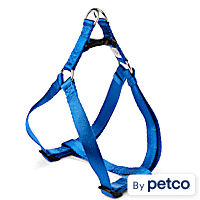 Halti harness petco outlet