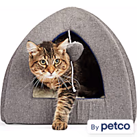 EveryYay Gray Snooze Fest Igloo Hooded Cat Bed