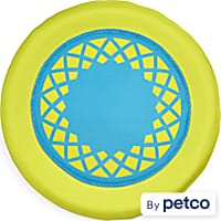 Kong frisbee new arrivals petco