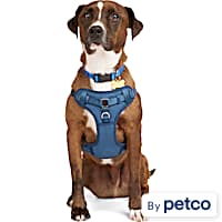 Petco head halter shop