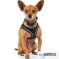 Petco kong harness shop