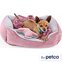 EveryYay Essentials Dog Bed Bundle