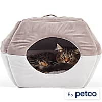 Petco cactus cat bed 2025