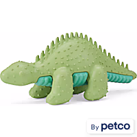 Leaps & Bounds Green Stegosaurus Dental Dog Chew Toy