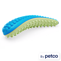 Leaps & Bounds Blue & Green Dental Chew Oval Dog Toy