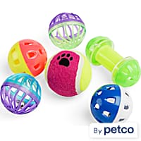 EveryYay Playin' Around Ferret Toys