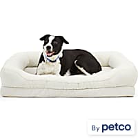 Petco beds outlet