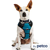 Sensation new arrivals harness petco