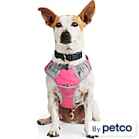 Dog Harnesses Petco