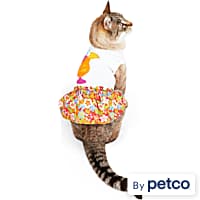Petco cat sweater on sale