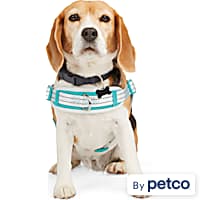 Dog Harnesses Petco