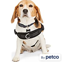 Sensation harness petco online