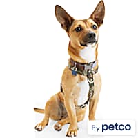 Sensation online harness petco