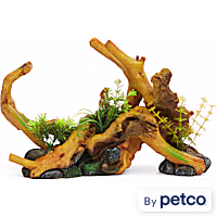 Imagitarium Driftwood with Plants and Stones