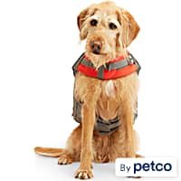 Petco clearance life jacket