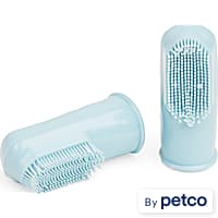 Indigo petco toothbrush online